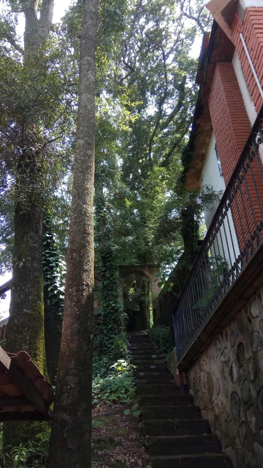 Cabana De Bosque Con Alberca Santa Clara de Juarez Exterior photo